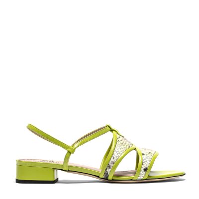Stilbite, sandali donna in pelle stampa pitone verde con tacco 3 cm - Cavallini